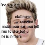 niall horan imagine