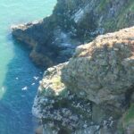 Horns, Cliffs, and Claddaghs: A Full Day in Howth