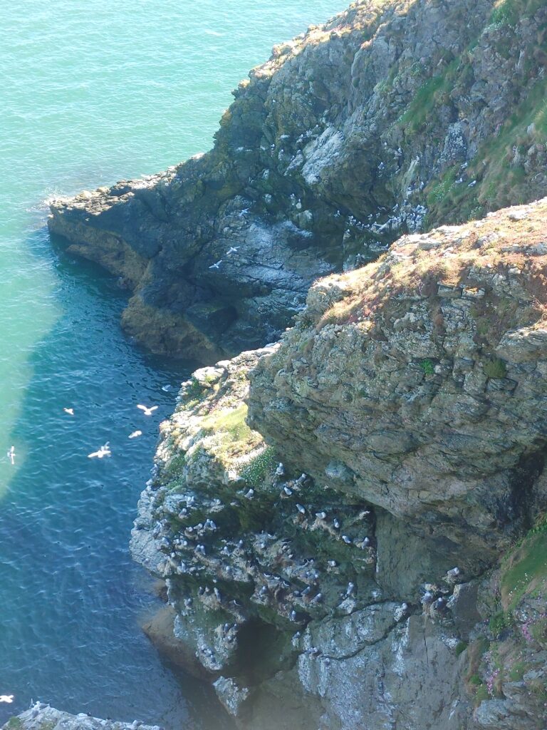 Horns, Cliffs, and Claddaghs: A Full Day in Howth