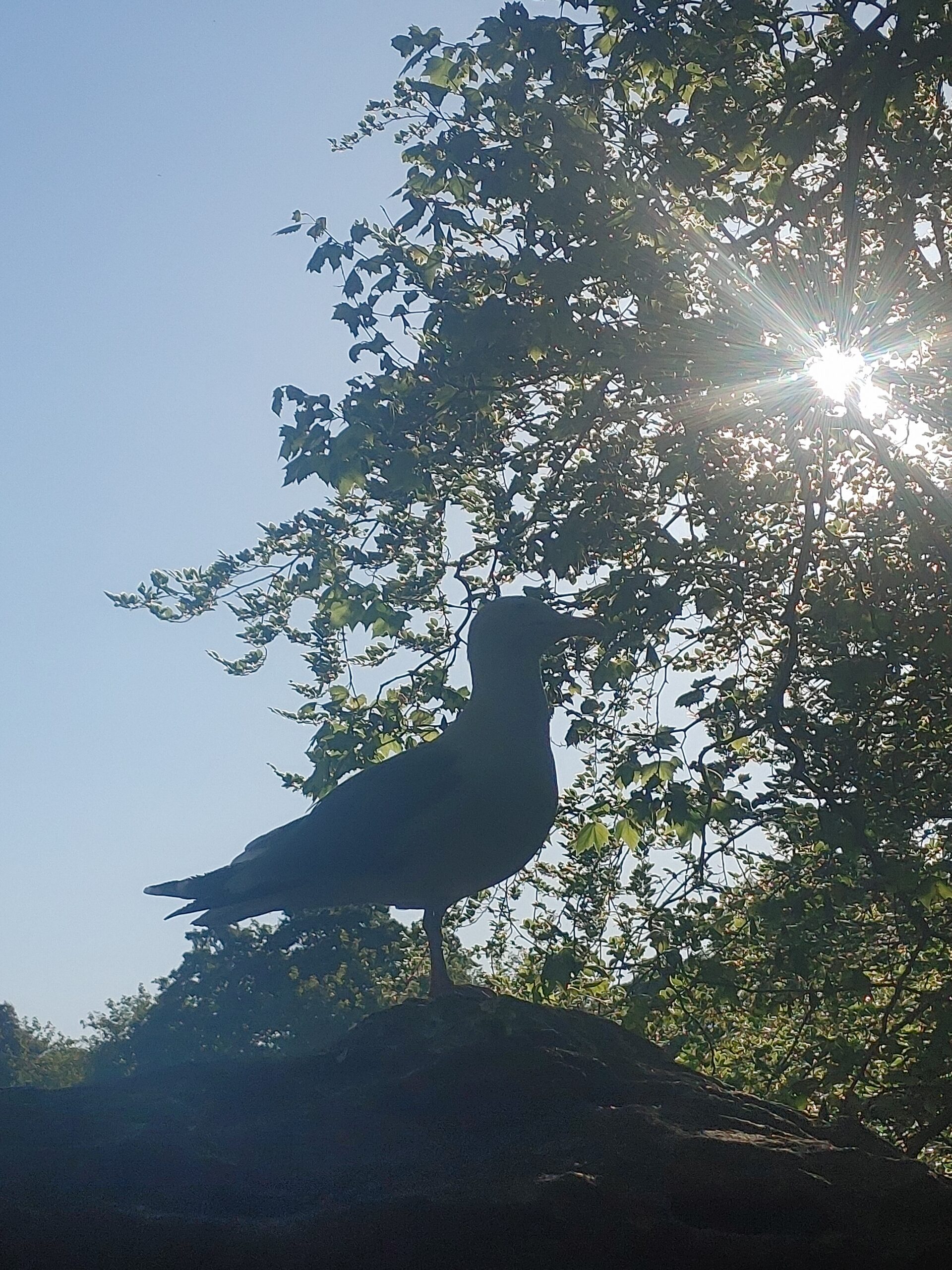 Headlines, Binaries, and Broadcast Bans: Media, Conflict, and Northern Ireland