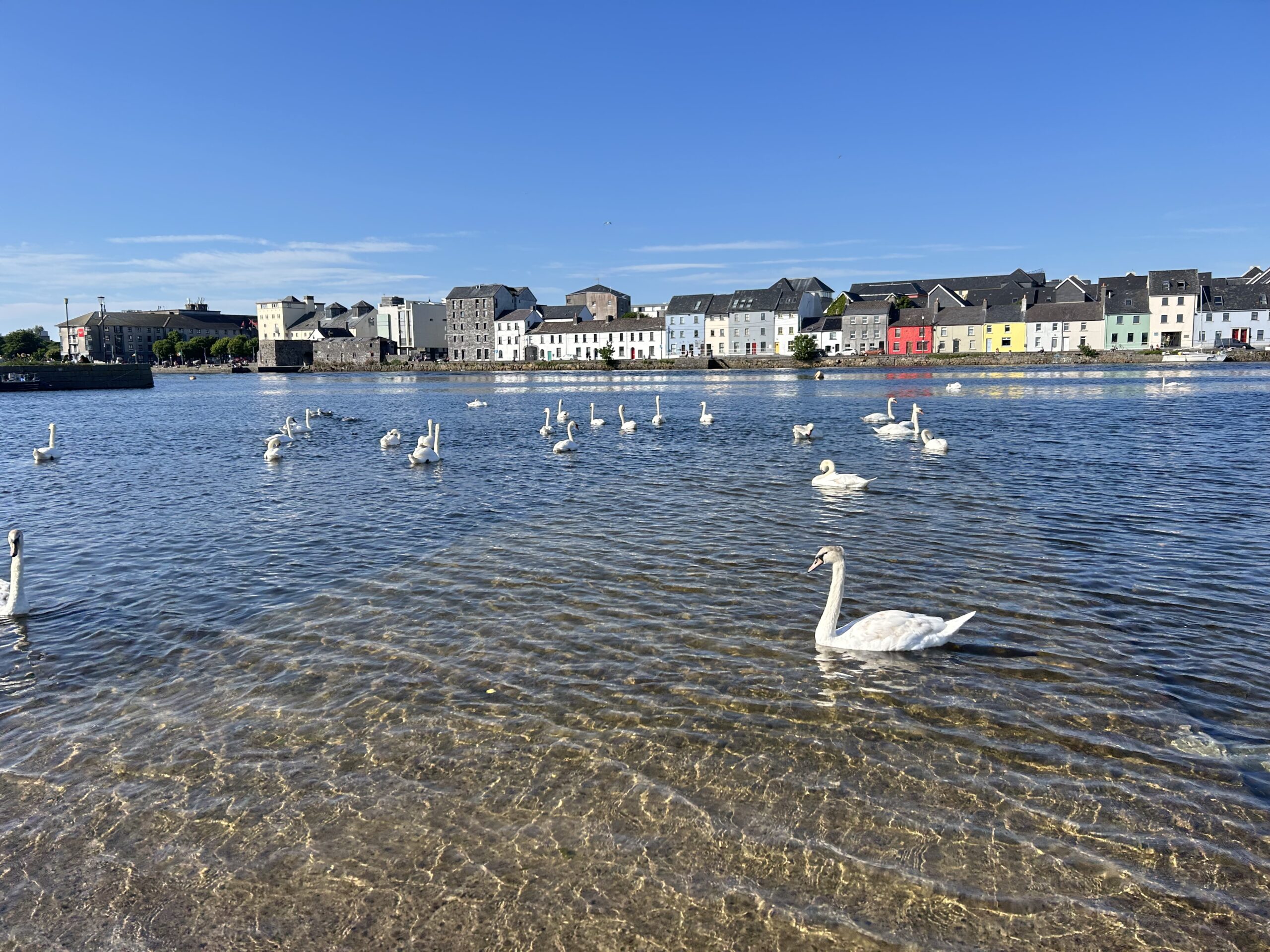 Mom, Phineas and Ferb visited the Irish Film Classification Office
