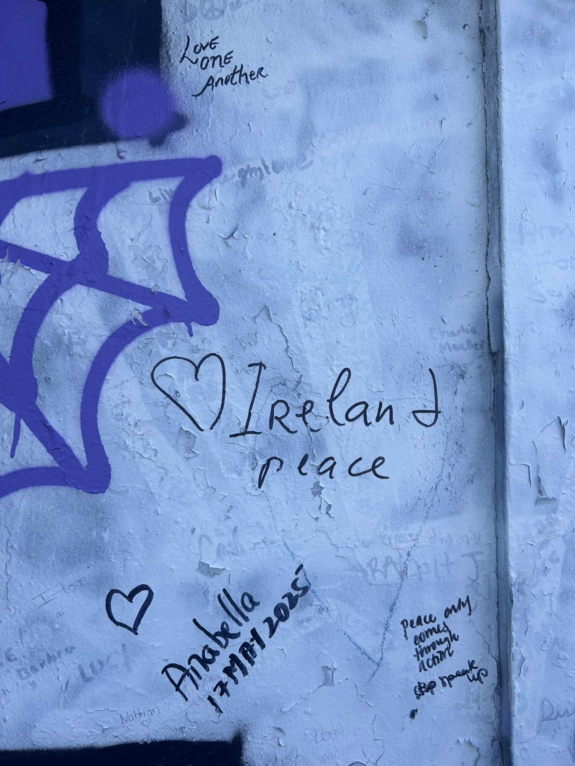 Belfast Day Trip with Niall Gilmartin